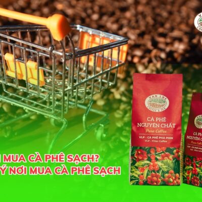 Cà phê sạch là sạch ở tất cả các giai đoạn trong quy trình sản xuất